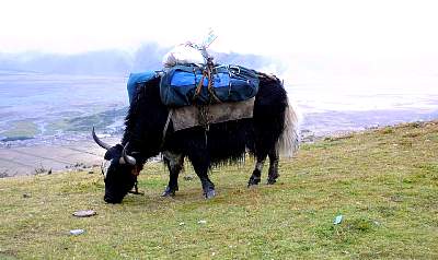 Kairen's_Tibet_121_2001-09-29 03.06.57 IMG_5003.JPG